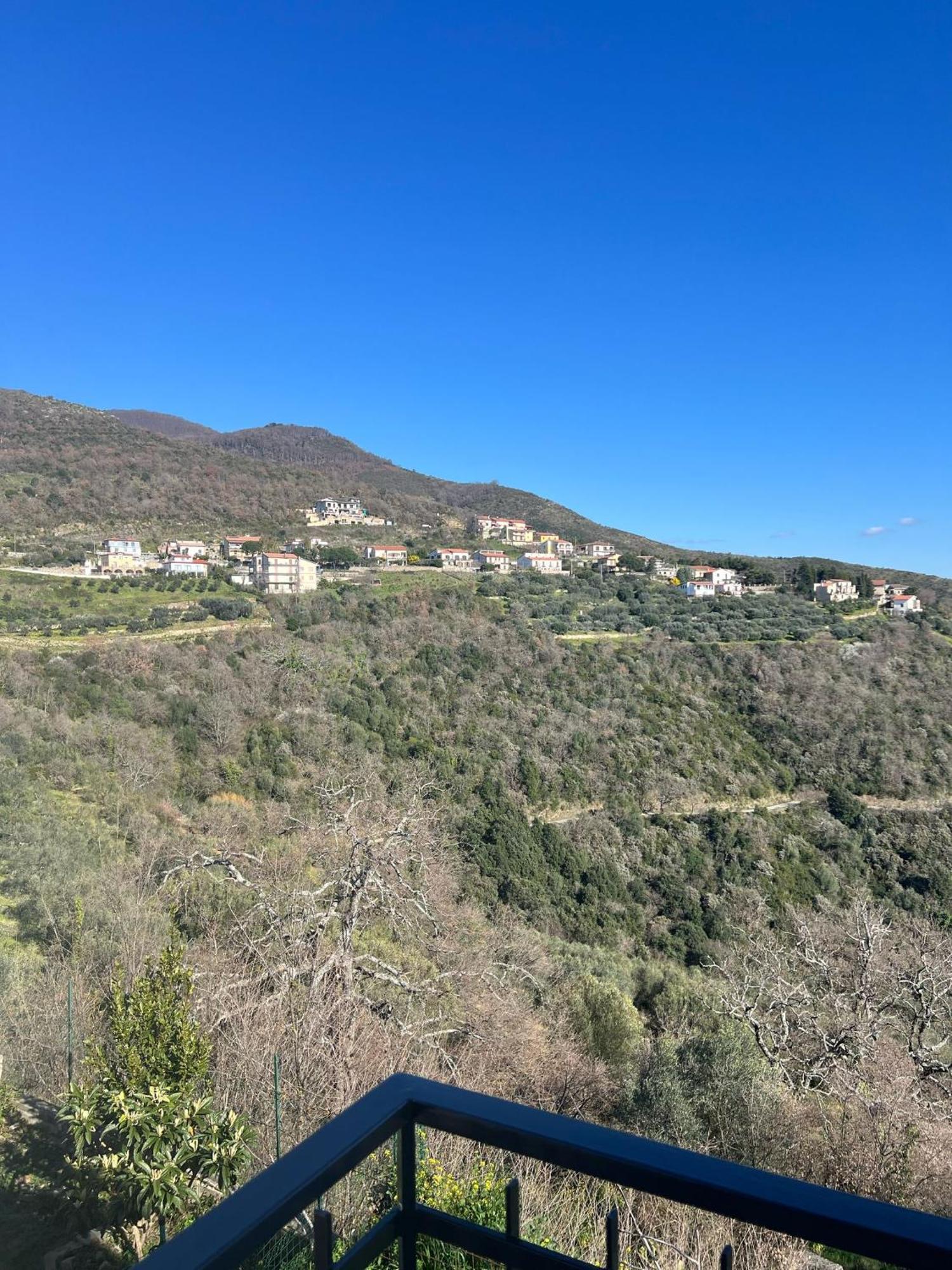 Dente Di Leone Hotel San Mauro Cilento Eksteriør billede
